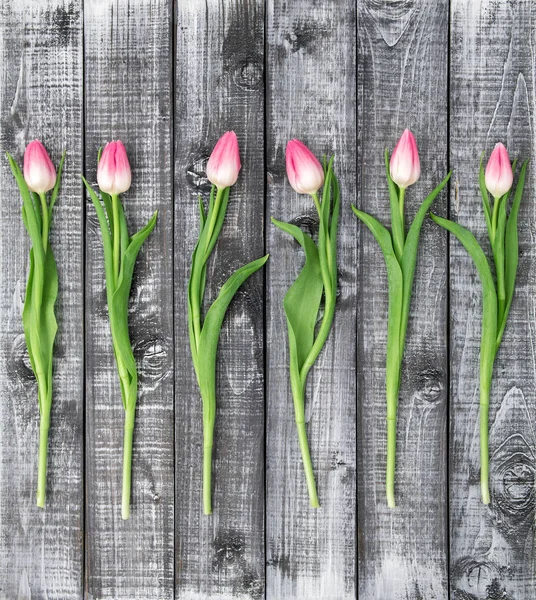 Floral plano lay Tulipán flores rústico fondo de madera — Foto de Stock