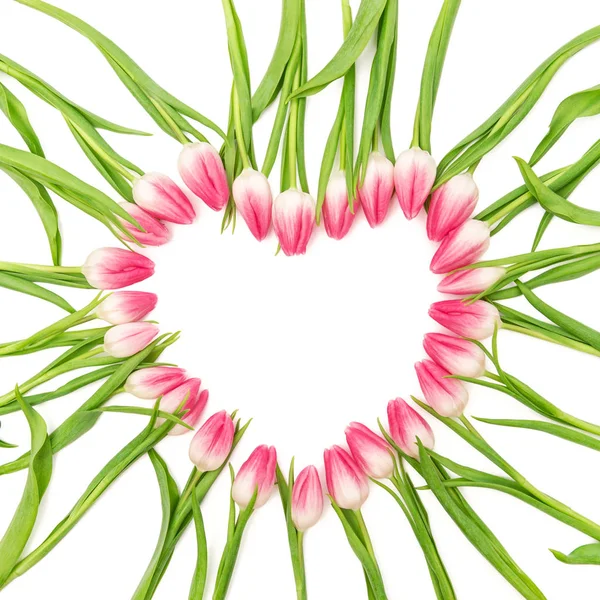 Tulpe Blumen Herz floralen Rand blüht isoliert weiß — Stockfoto