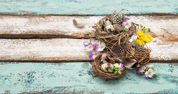 Uova di Pasqua fiori pansy decorazione legno sfondo — Foto Stock