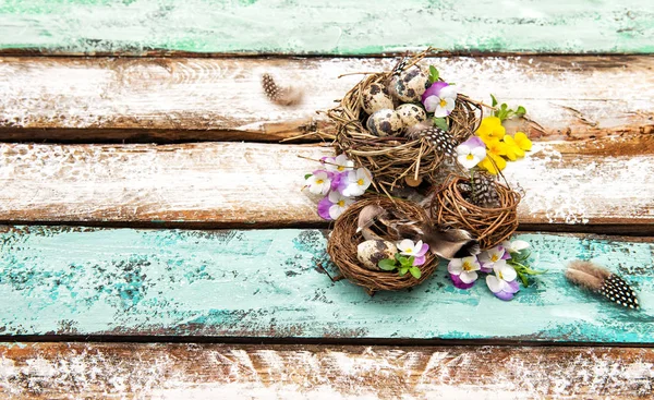 Easter eggs pansy flowers Holidays decoration — Stock Photo, Image