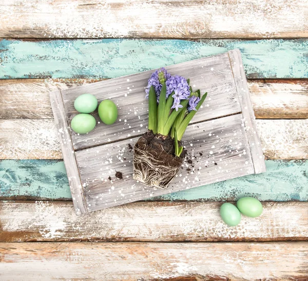 Velikonoční vajíčka dekorace hyacintům dřevěné pozadí — Stock fotografie