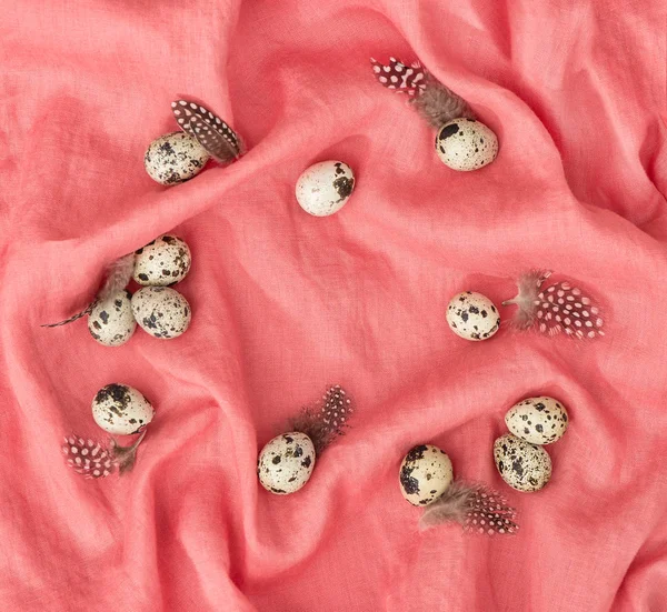 Quail eggs feathers decoration pink textile background — Stock Photo, Image
