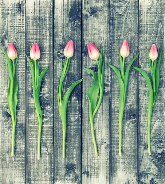Floral flat lay flores tulipa fundo de madeira vintage — Fotografia de Stock