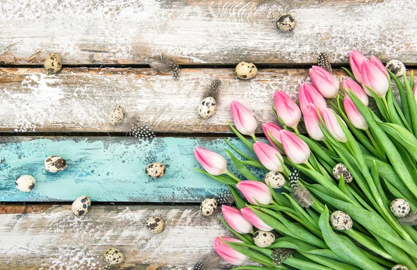Osterdekoration Eier Feder rosa Tulpenblüten — Stockfoto