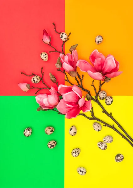Velikonoční zdobení vajec magnólie květiny ploché rozložení — Stock fotografie