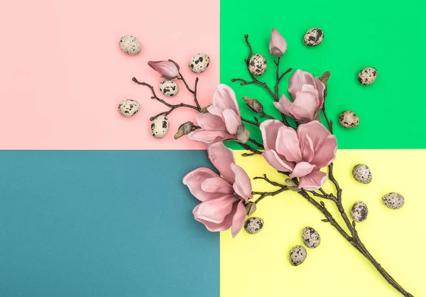 Magnólia virág húsvéti tojás dekorációs minimális lapos lay — Stock Fotó