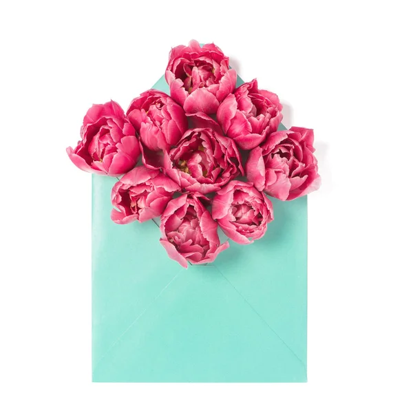 Rosa tulipa flores envelope fundo branco — Fotografia de Stock