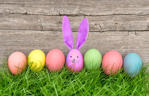 Páscoa ovos engraçado coelho feriados decoração — Fotografia de Stock