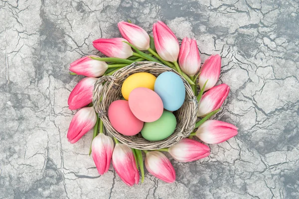 Tulip flowers Easter eggs floral decoration — Stock Photo, Image