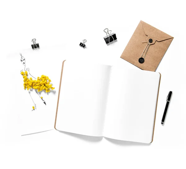 Sketch book mimosa flowers white background — Stock Photo, Image
