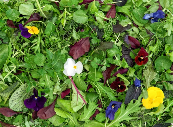 Élelmiszer-háttér saláta levelek gyógynövények árvácska virágok — Stock Fotó
