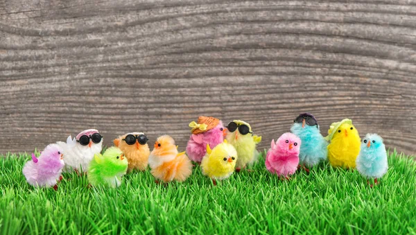 Easter chickens Funny travel holidays background