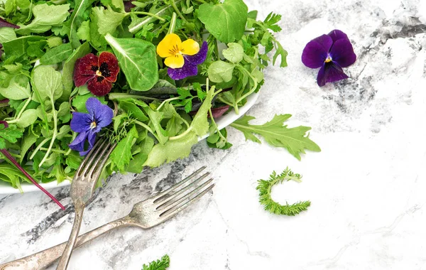 Sağlıklı food.Detox.Organic beslenme salata yaprakları — Stok fotoğraf