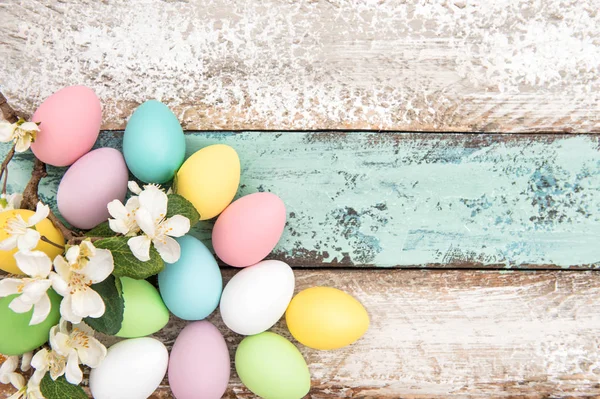 Easter eggs and flowers apple blossom — Stock Photo, Image