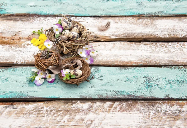 Easter eggs viola flowers Holidays decoration — Stock Photo, Image