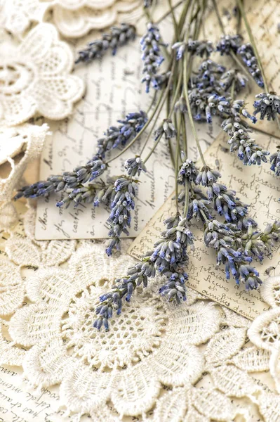 Lavender flowers vintage love postcards — Stock Photo, Image