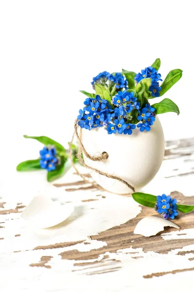 Decoração de Páscoa esquecer-me não flores casca de ovo — Fotografia de Stock