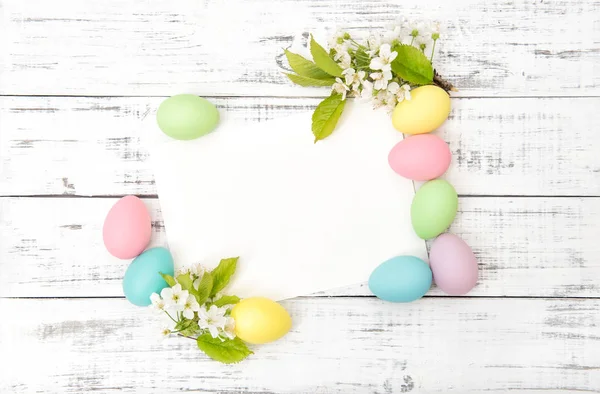 Easter greetings card eggs decoration cherry blossoms — Stock Photo, Image