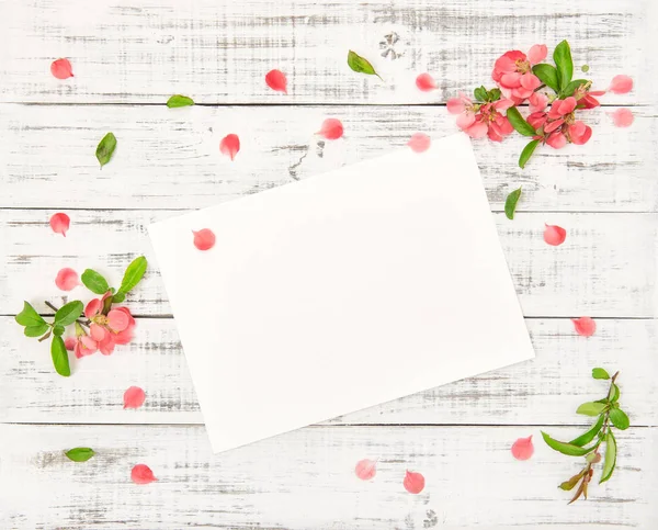 Piatto strato di carta foglio rosa fiori primaverili — Foto Stock