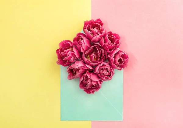 Tulip flowers envelope Pink blossoms yellow paper — Stock Photo, Image