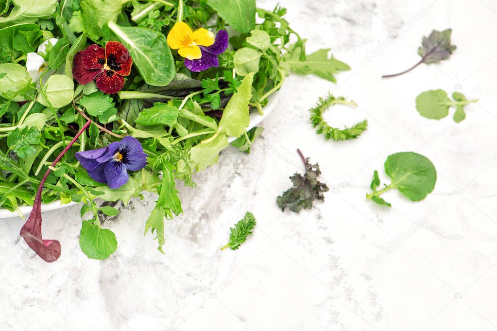 Fresh green salad herbs garden flowers Healthy food