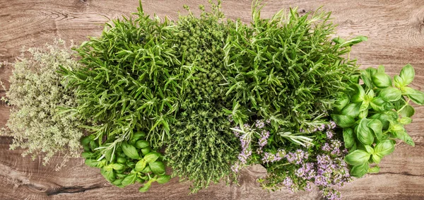 Fresh herbs wooden background Basil rosemary thyme savory — Stock Photo, Image