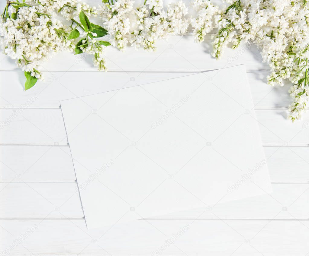 White lilac flowers sketch paper sheet Floral flat lay