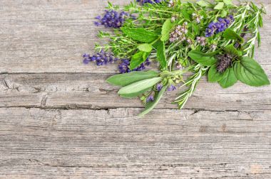 Taze otlar fesleğen paket biberiye adaçayı kekik nane kekik