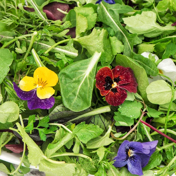 Salladsblad trädgårdsörter ätbara blommor mat bakgrund — Stockfoto