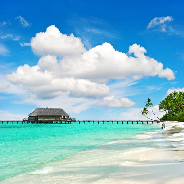 Tropical island beach perfect blue sky Nature landscape — Stock Photo, Image