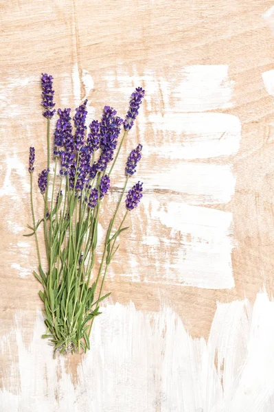 Flores de lavanda Bando de flores frescas — Fotografia de Stock