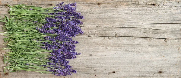 Lavendel bloemen vers houten achtergrond — Stockfoto