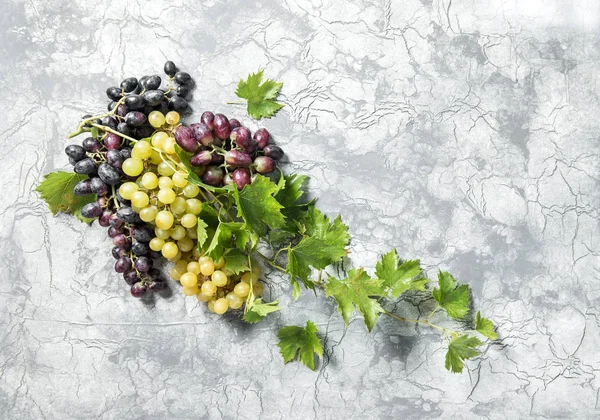 Betonu kamienia tekstura tło jedzenie liść zielony winogron winorośli — Zdjęcie stockowe