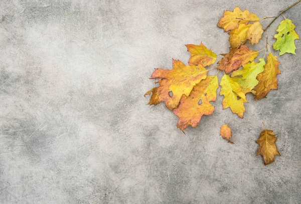 Hojas de roble rojo amarillo piedra de hormigón textura Fondo otoño — Foto de Stock