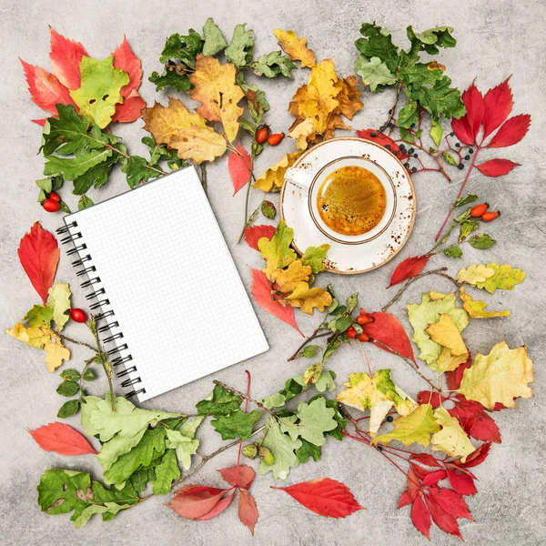 Autumn background flat lay Notebook cup coffee — Stock Photo, Image