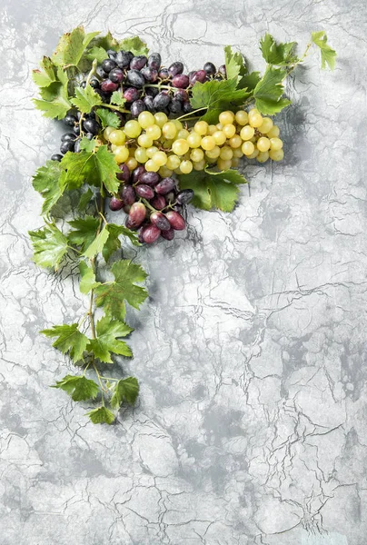 ブドウのつる葉食品背景 — ストック写真