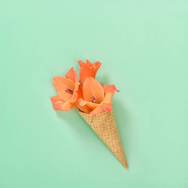 Gladiolo flor helado waffle cono plano laico —  Fotos de Stock