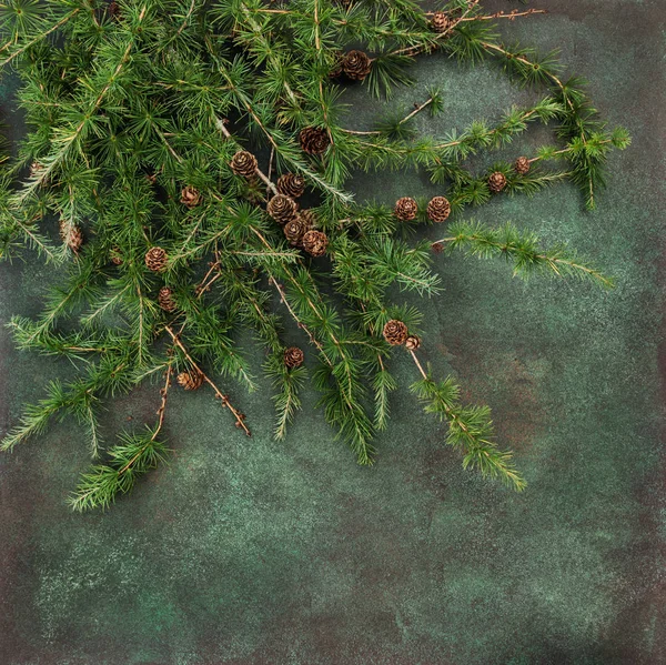 Christmas tree branches Holidays background — Stock Photo, Image