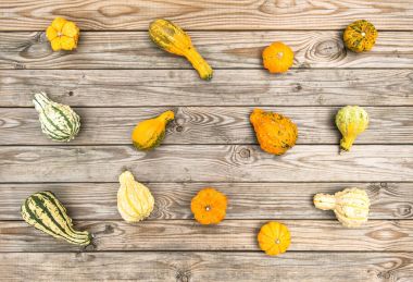 Kabak rustik ahşap arka plan sonbahar Şükran günü