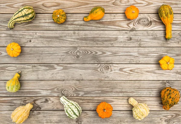 Pumpkin wooden texture Autumn background Thanksgiving — Stock Photo, Image