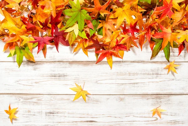 Bannière d'automne Feuilles colorées fond en bois — Photo