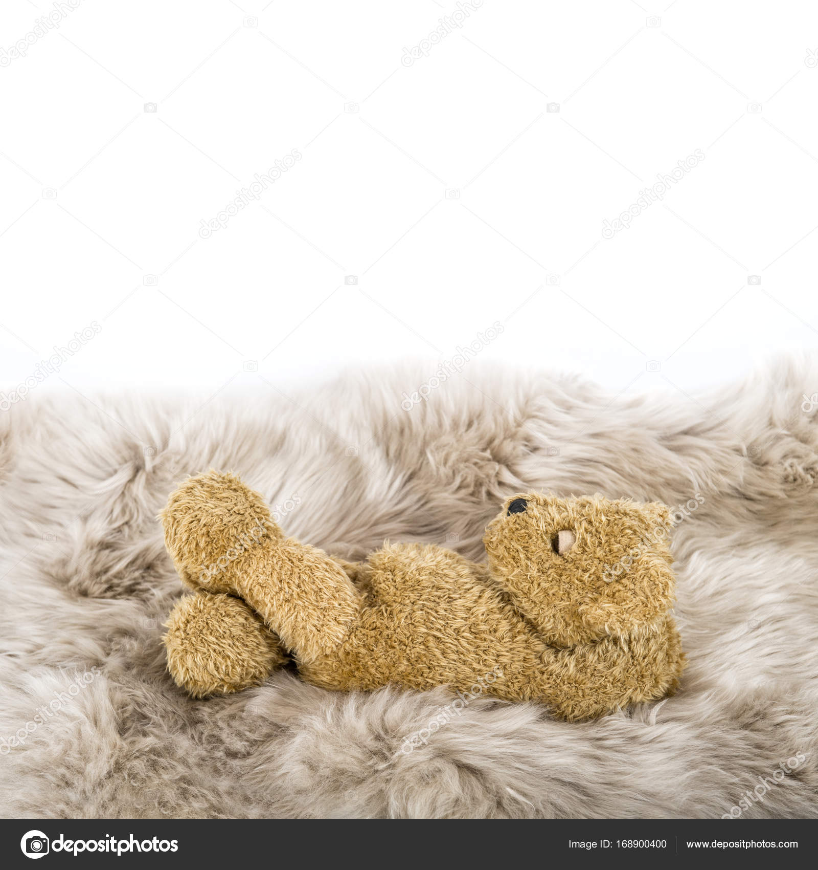 cute baby teddy bear