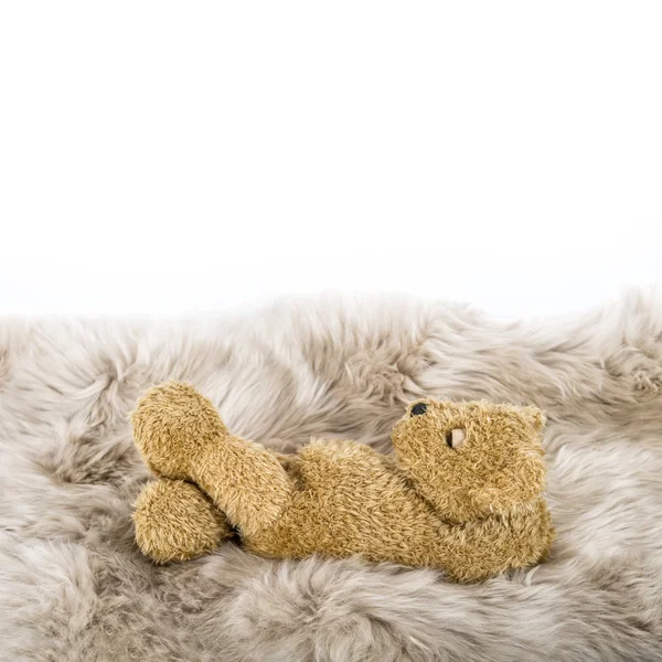 Urso de peluche adormecido Brinquedo de bebê bonito — Fotografia de Stock