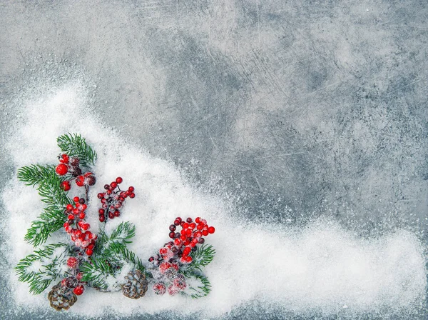Noel ağacı dalları kırmızı meyveler tatil dekorasyon — Stok fotoğraf