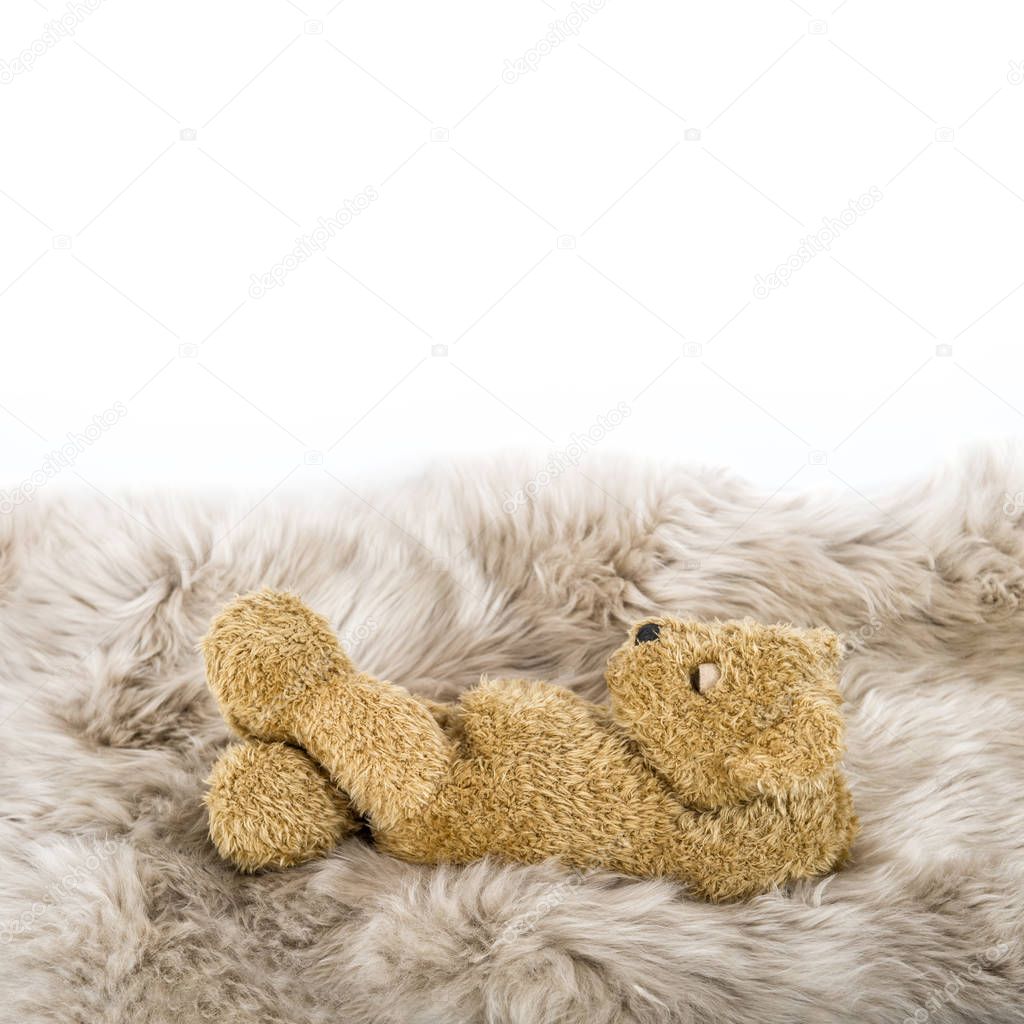 Sleeping Teddy Bear Cute baby toy