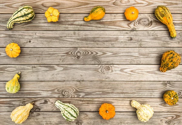 Pumpkin on rustic wooden texture. Autumn background. Thanksgiving — Stock Photo, Image
