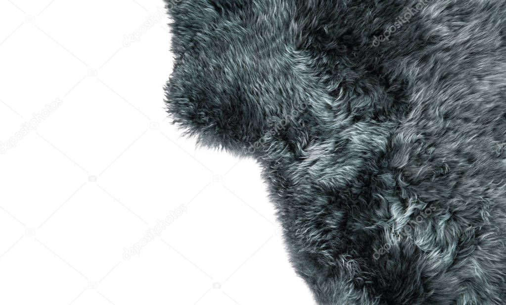 Grey sheepskin rug Sheep fur  background texture