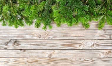 Kış tatil sınır Noel ağacı dalları