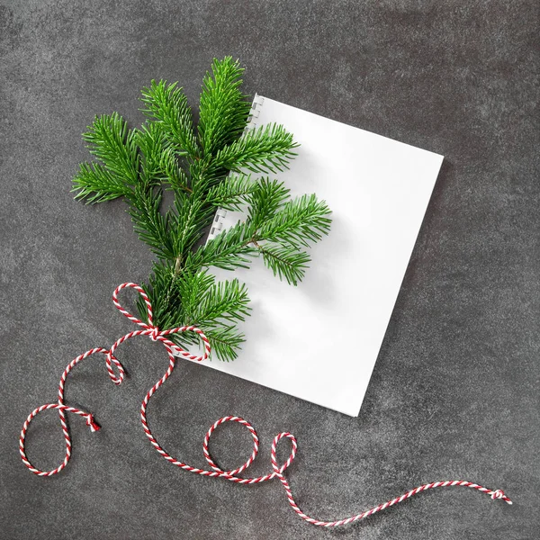 Albero di Natale ramo bianco carta minimale piatto lay — Foto Stock