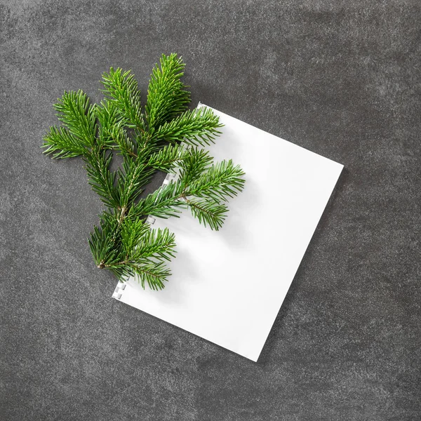 Rama de árbol de Navidad fondo de piedra de papaer blanco — Foto de Stock